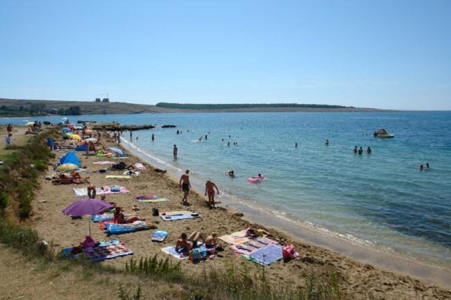 Apartments Mint Povljana - 50M From Sandy Beach Exterior foto
